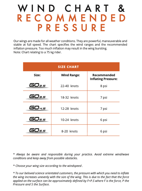 FreeWing GO4.5 『日本正規代理店』 www.circuitoies.it